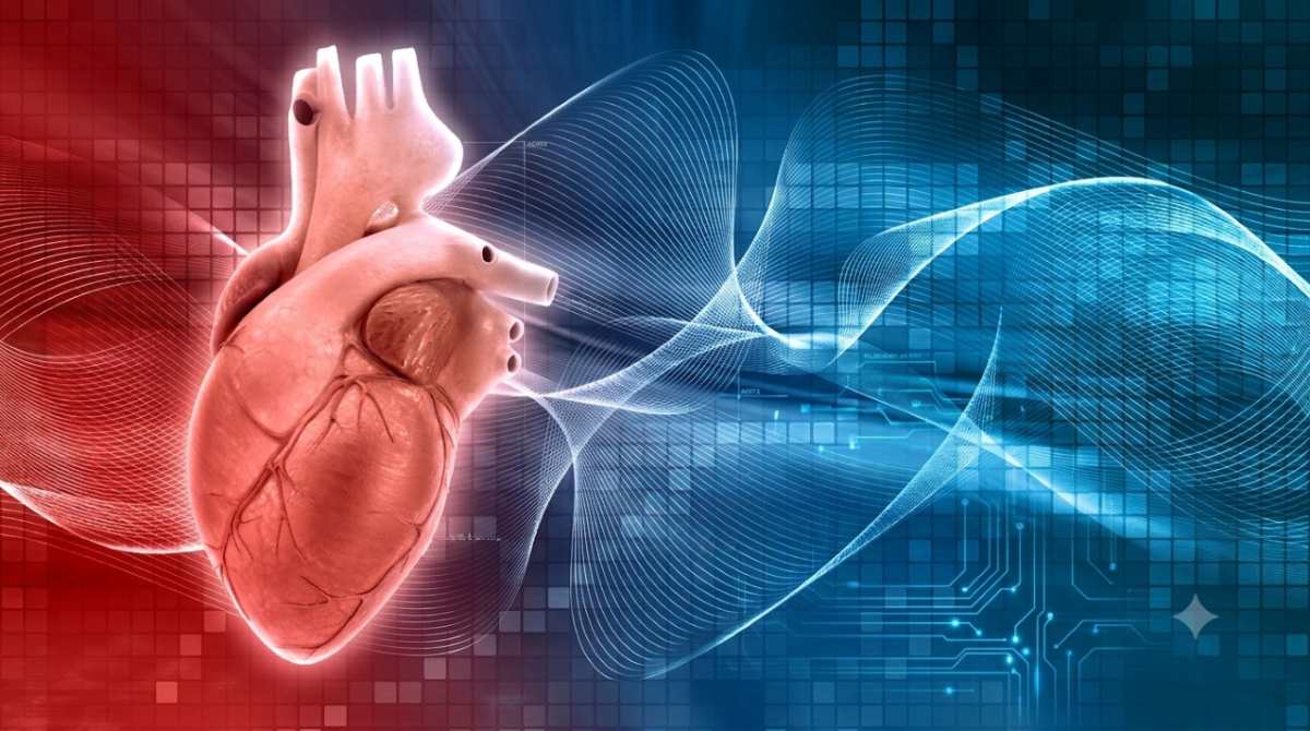 Új koleszterinszabályok 50%-os csökkenést céloznak meg a szívroham és stroke kockázatában
