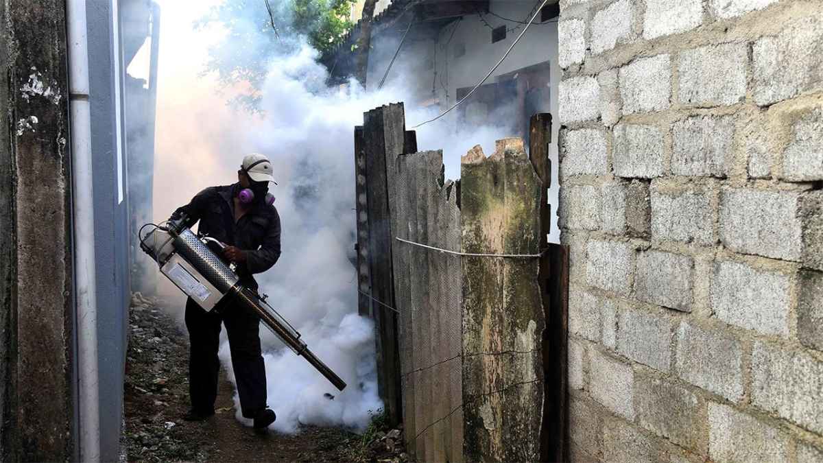 A dengue-láz esetek száma meghaladta az 50 000-et Srí Lankán, 30 halálesettel